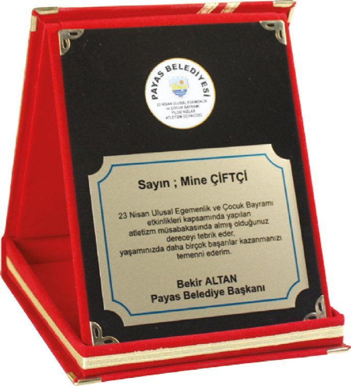 Joy Albüm Plaket 3