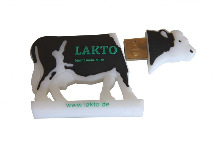 Özel Üretim USB Bellek 2